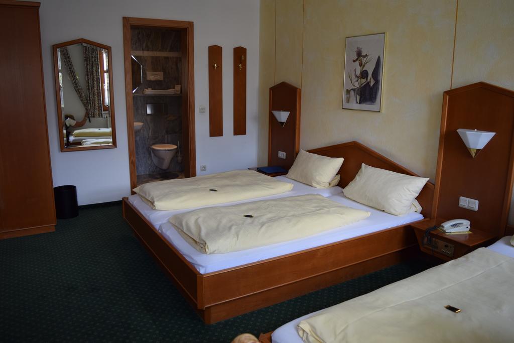 Hotel Zum Braeu Kinding Δωμάτιο φωτογραφία